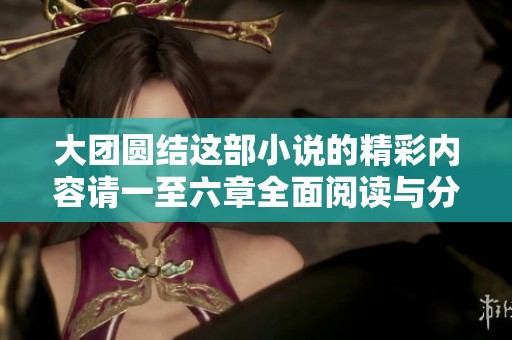 大团圆结这部小说的精彩内容请一至六章全面阅读与分享