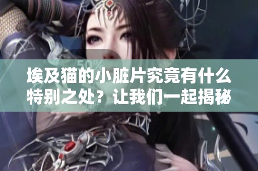埃及猫的小脏片究竟有什么特别之处？让我们一起揭秘这种猫咪的魅力吧！
