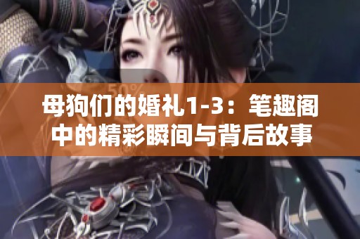 母狗们的婚礼1-3：笔趣阁中的精彩瞬间与背后故事