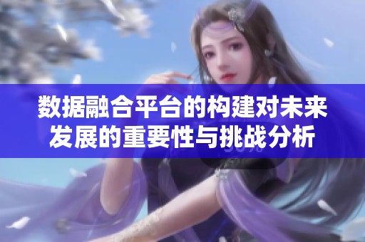 数据融合平台的构建对未来发展的重要性与挑战分析