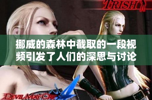 挪威的森林中截取的一段视频引发了人们的深思与讨论