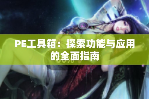 PE工具箱：探索功能与应用的全面指南