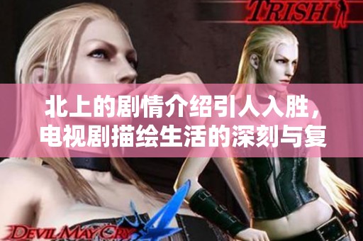 北上的剧情介绍引人入胜，电视剧描绘生活的深刻与复杂