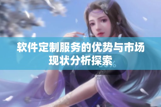 软件定制服务的优势与市场现状分析探索