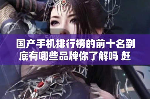 国产手机排行榜的前十名到底有哪些品牌你了解吗 赶快跟随我们一起看看吧