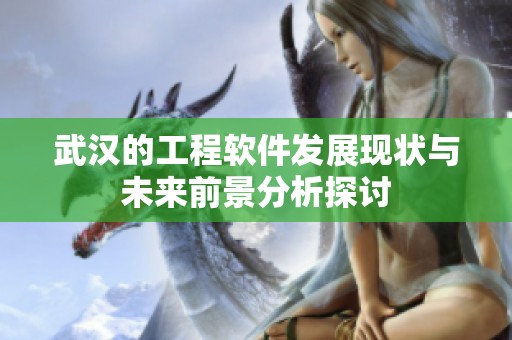 武汉的工程软件发展现状与未来前景分析探讨