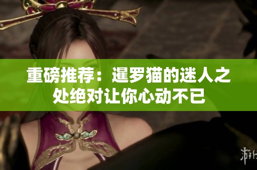 重磅推荐：暹罗猫的迷人之处绝对让你心动不已