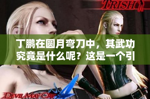 丁鹏在圆月弯刀中，其武功究竟是什么呢？这是一个引人深思的问题