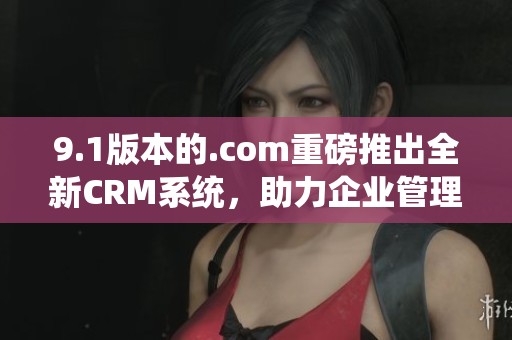 9.1版本的.com重磅推出全新CRM系统，助力企业管理更高效