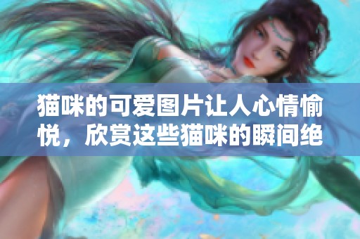 猫咪的可爱图片让人心情愉悦，欣赏这些猫咪的瞬间绝对不容错过