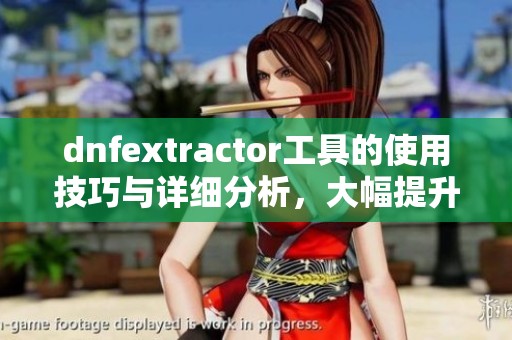 dnfextractor工具的使用技巧与详细分析，大幅提升玩家的游戏体验和乐趣