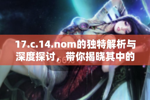 17.c.14.nom的独特解析与深度探讨，带你揭晓其中的精彩内容