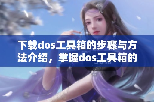 下载dos工具箱的步骤与方法介绍，掌握dos工具箱的实用技巧