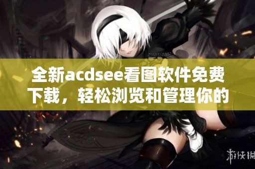 全新acdsee看图软件免费下载，轻松浏览和管理你的图片文件