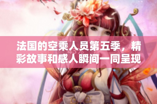 法国的空乘人员第五季，精彩故事和感人瞬间一同呈现