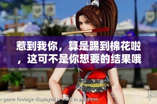 惹到我你，算是踢到棉花啦，这可不是你想要的结果哦