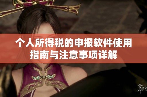 个人所得税的申报软件使用指南与注意事项详解