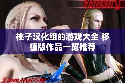 桃子汉化组的游戏大全 移植版作品一览推荐