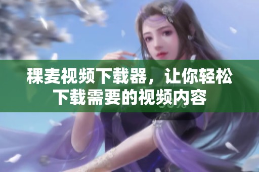 稞麦视频下载器，让你轻松下载需要的视频内容