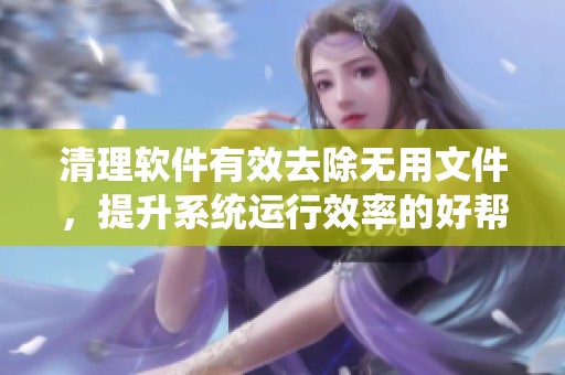 清理软件有效去除无用文件，提升系统运行效率的好帮手