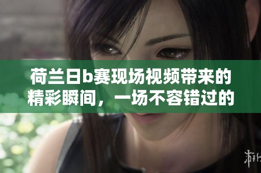 荷兰日b赛现场视频带来的精彩瞬间，一场不容错过的盛宴