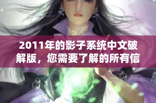 2011年的影子系统中文破解版，您需要了解的所有信息和下载链接在这里