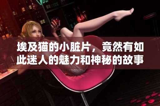 埃及猫的小脏片，竟然有如此迷人的魅力和神秘的故事。