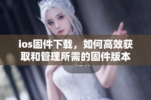 ios固件下载，如何高效获取和管理所需的固件版本