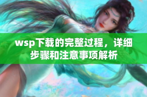 wsp下载的完整过程，详细步骤和注意事项解析