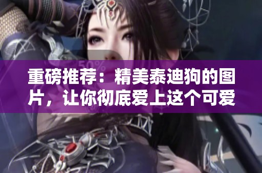 重磅推荐：精美泰迪狗的图片，让你彻底爱上这个可爱的狗狗