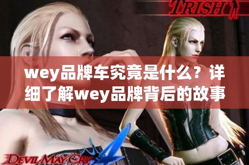 wey品牌车究竟是什么？详细了解wey品牌背后的故事与特色