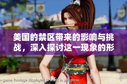 美国的禁区带来的影响与挑战，深入探讨这一现象的形势与意义