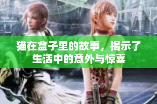 猫在盒子里的故事，揭示了生活中的意外与惊喜