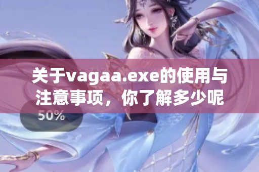 关于vagaa.exe的使用与注意事项，你了解多少呢