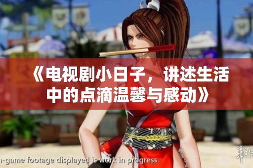 《电视剧小日子，讲述生活中的点滴温馨与感动》