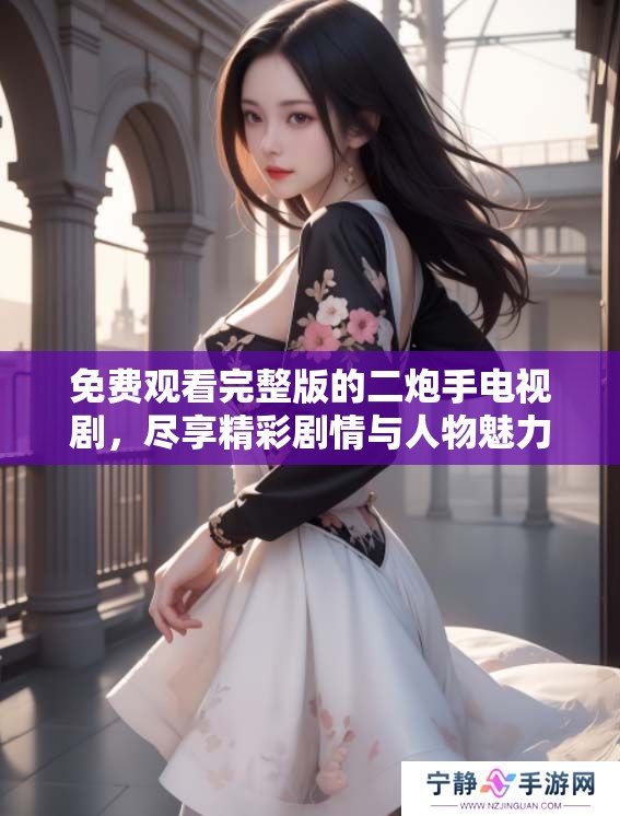 免费观看完整版的二炮手电视剧，尽享精彩剧情与人物魅力