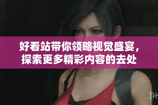 好看站带你领略视觉盛宴，探索更多精彩内容的去处