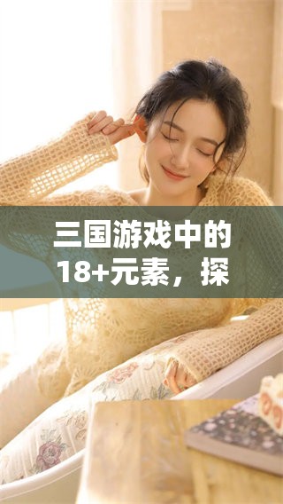 三国游戏中的18+元素，探秘其中的精彩与冒险体验