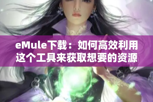 eMule下载：如何高效利用这个工具来获取想要的资源