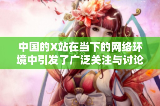中国的X站在当下的网络环境中引发了广泛关注与讨论