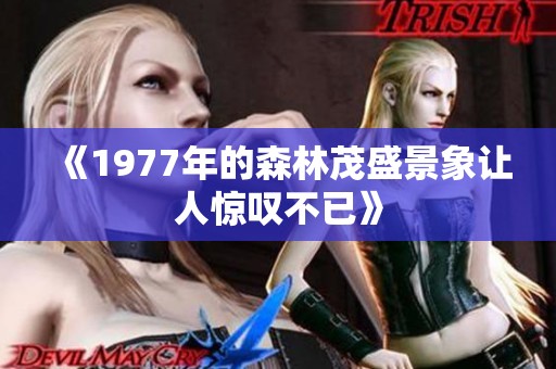 《1977年的森林茂盛景象让人惊叹不已》