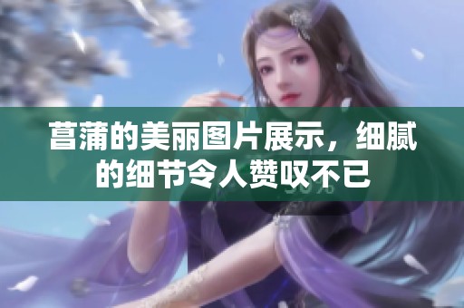 菖蒲的美丽图片展示，细腻的细节令人赞叹不已