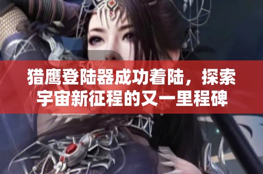 猎鹰登陆器成功着陆，探索宇宙新征程的又一里程碑