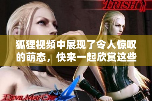 狐狸视频中展现了令人惊叹的萌态，快来一起欣赏这些可爱的狐狸吧！