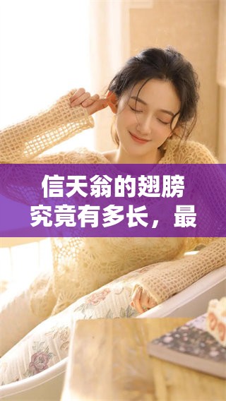 信天翁的翅膀究竟有多长，最长的记录是怎样的呢