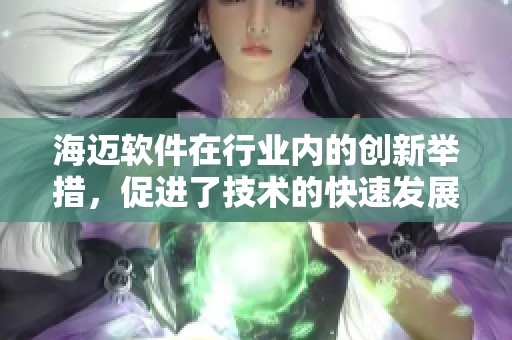 海迈软件在行业内的创新举措，促进了技术的快速发展与应用