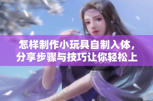 怎样制作小玩具自制入体，分享步骤与技巧让你轻松上手