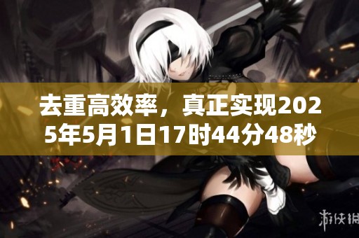 去重高效率，真正实现2025年5月1日17时44分48秒这一目标