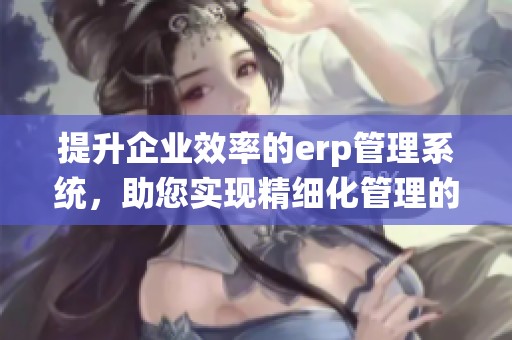 提升企业效率的erp管理系统，助您实现精细化管理的理想选择