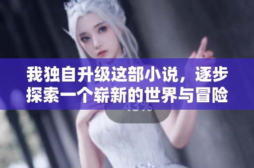 我独自升级这部小说，逐步探索一个崭新的世界与冒险之旅
